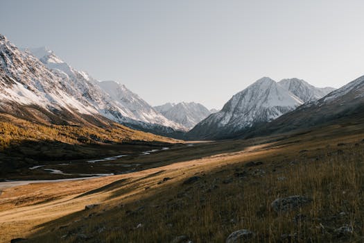 Explore a breathtaking snow-capped mountain valley with lush grasslands under a clear sky.