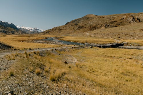 Gratis Lapangan Rumput Coklat Dekat Gunung Di Bawah Langit Biru Foto Stok