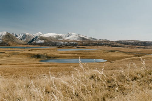 無料 雪に覆われた山の近くの茶色の草地 写真素材