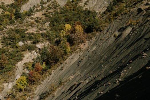 A scenic view of colorful autumn foliage on a rocky mountain slope capturing the beauty of fall.