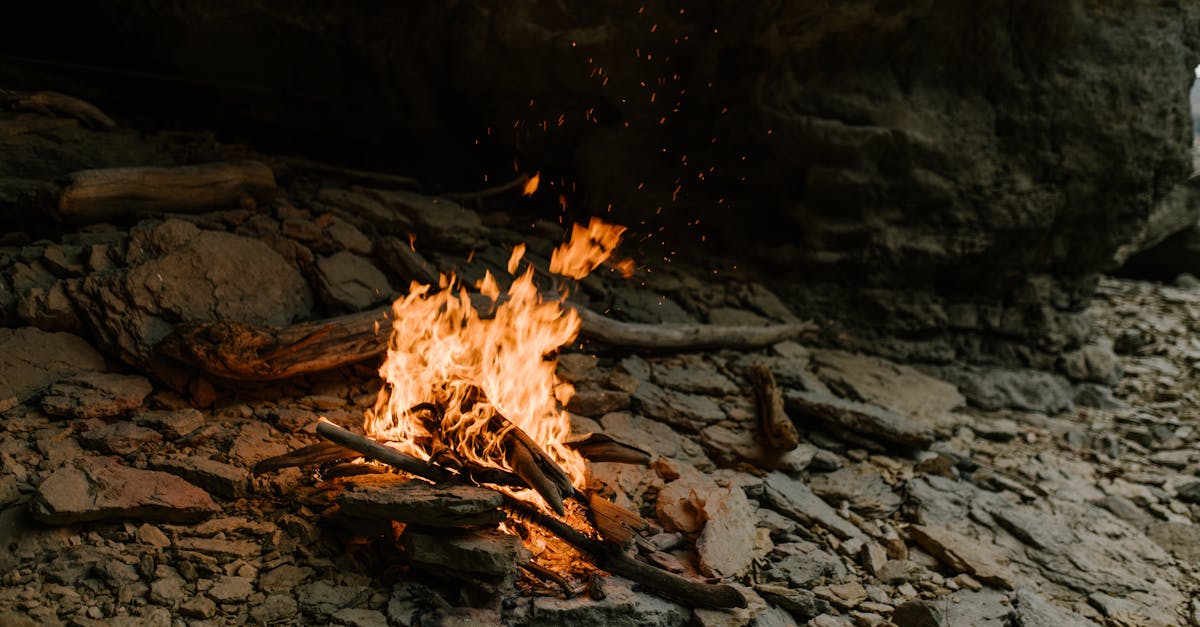 男獨居山洞逾20年 拒絕現代生活無電無網靠2招生存畫面曝光