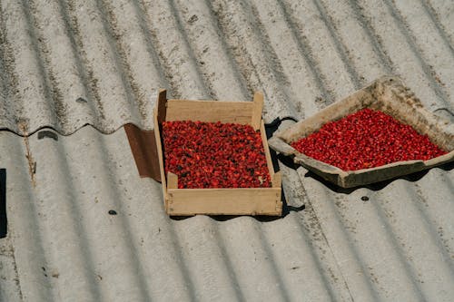 무료 갈색 나무 상자에 빨간색과 초록색 과일 스톡 사진