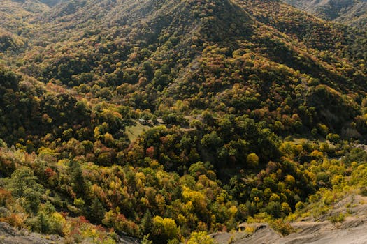 A breathtaking aerial view of colorful autumn foliage covering a mountain landscape, showcasing nature's vibrant palette.