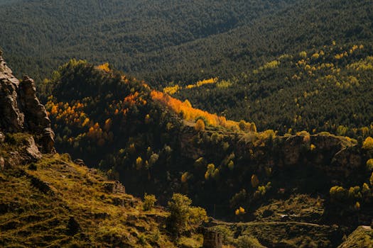Aerial view of a lush mountain landscape with colorful autumn foliage in vibrant hues.