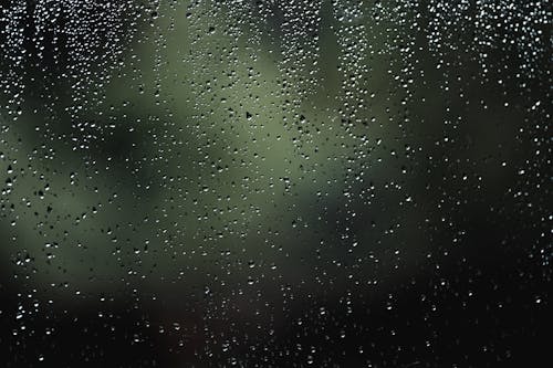 Gratis lagerfoto af glas, regn, våd
