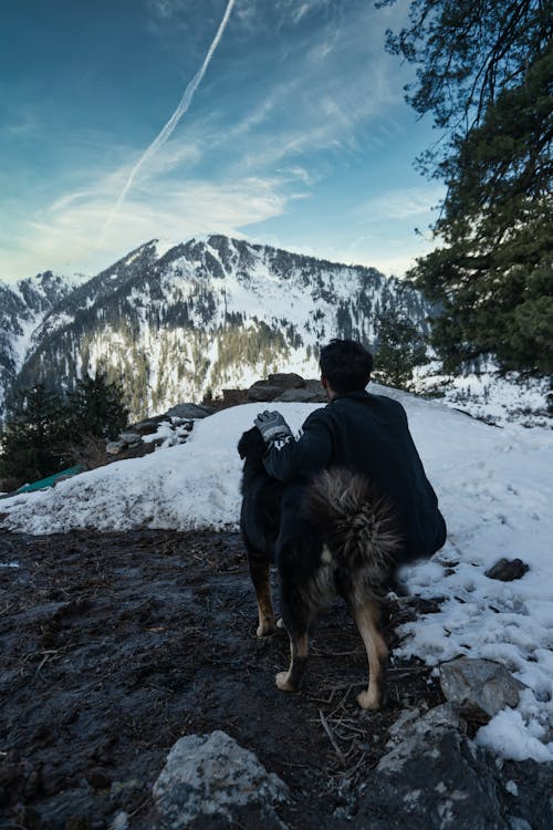 Free Man with Dog in Snowy Mountains Stock Photo