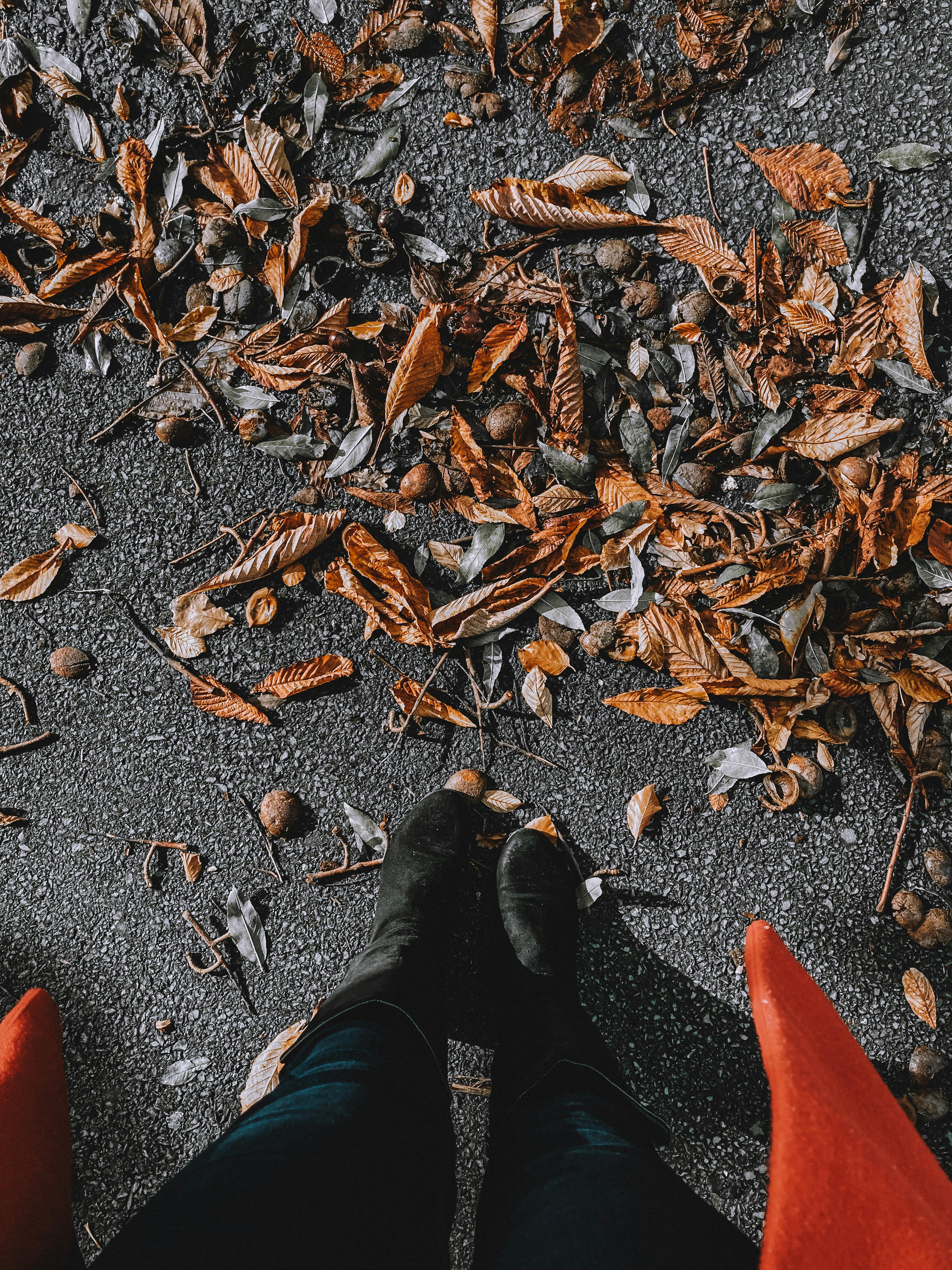 一位匿名女性站在柏油路上，脚下踩着秋叶，从作物的上方望去