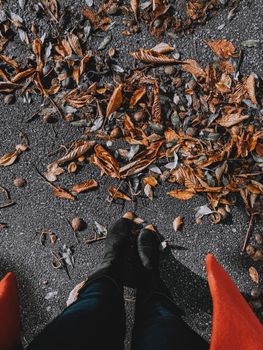 一位匿名女性站在柏油路上，脚下踩着秋叶，从作物的上方望去