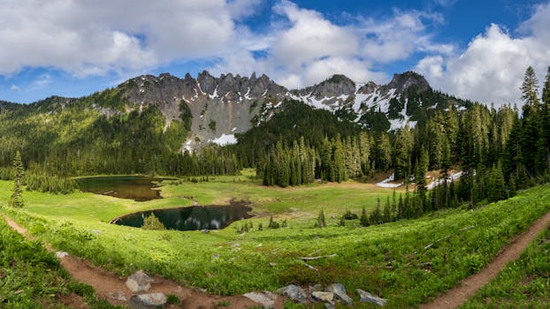 Scenic view of a tranquil alpine lake with mountains and forest in Mount Rainier National Park.