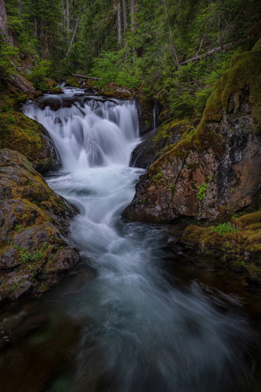 Wald & Wasserfall in der Natur – Elegantes Landschaftsfoto (von JOHN CALLERY, 6336×9504, #5654998)