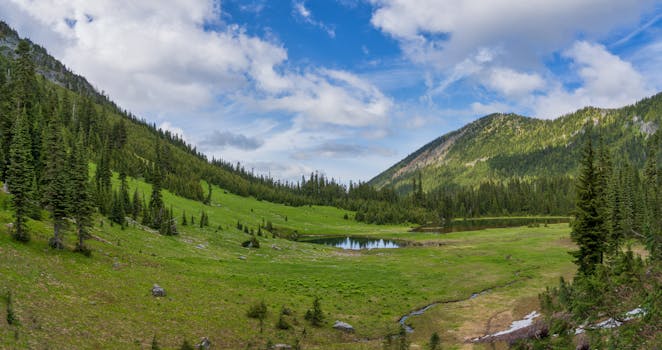 Beautiful alpine landscape with serene pond and lush greenery in Washington State.