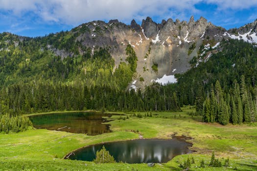 Panoramic view of lakes and lush greenery in Mount Rainier National Park, WA.