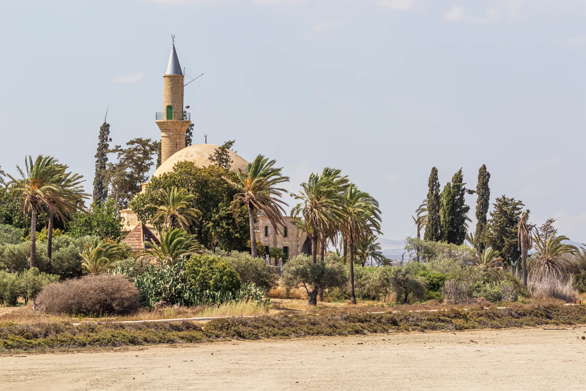 Erasmus en Larnaca
