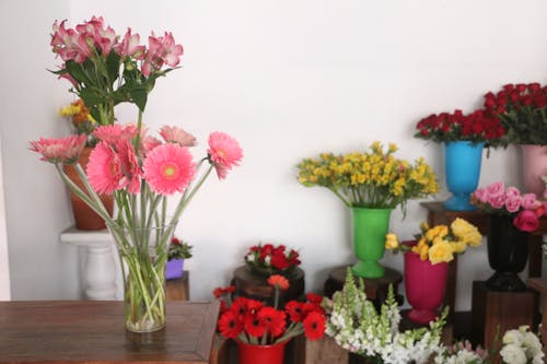 Gratis Foto stok gratis berkembang, bunga-bunga, dekorasi Foto Stok