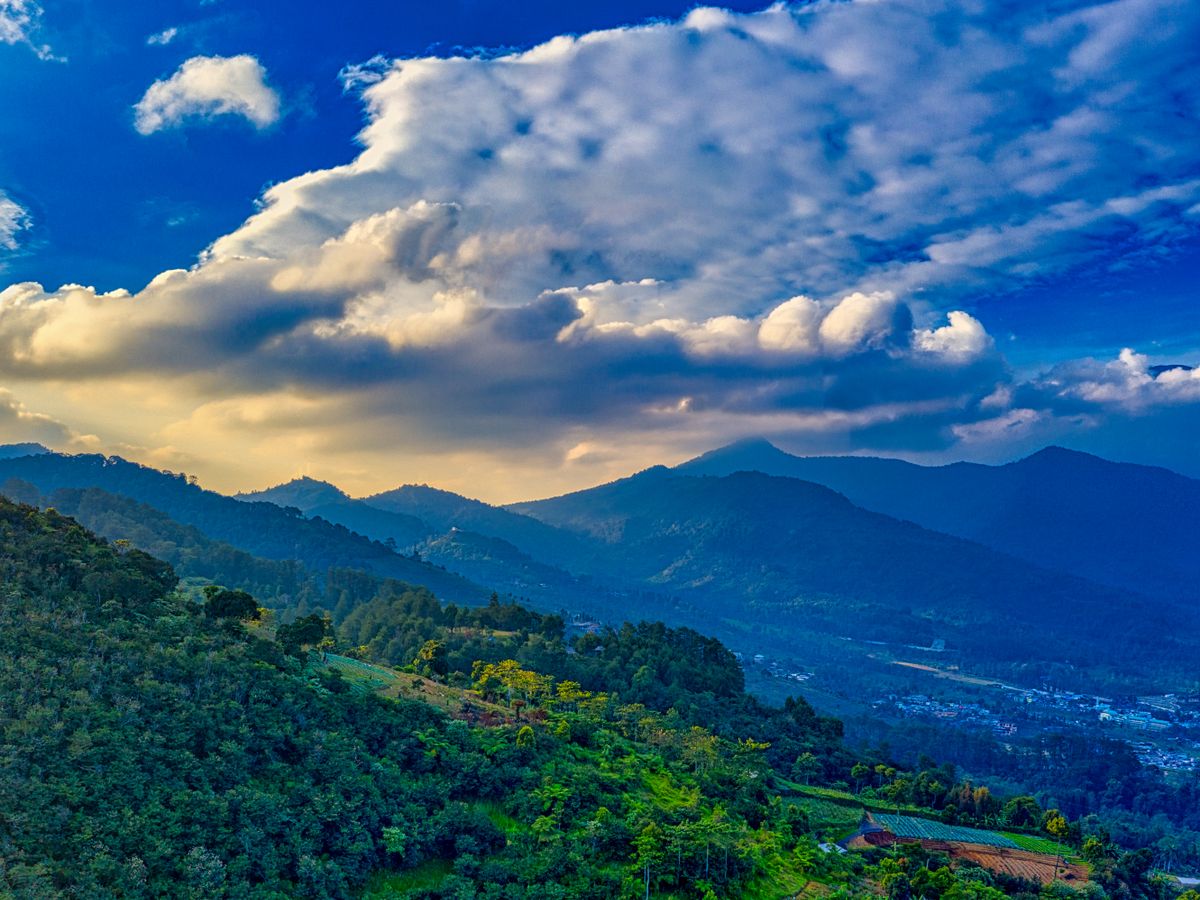 7 Day Private Plant Medicine, Detox & Breathwork Retreat, Mexico 3