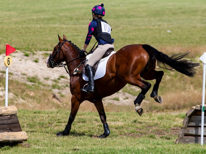 Noam Yaron : L'athlète qui enflamme le cœur des Français en 2025