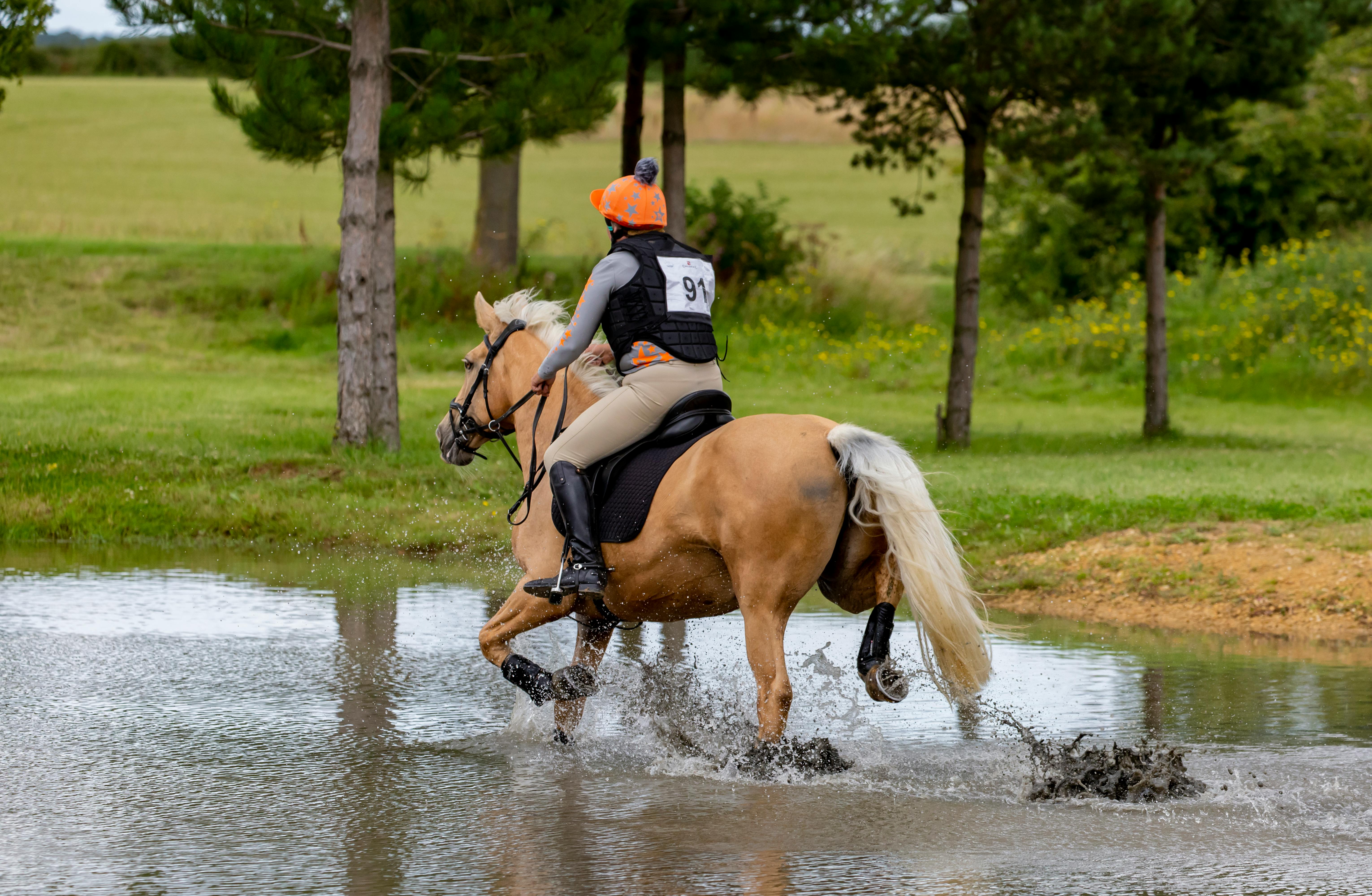 an equestrian riding his horse