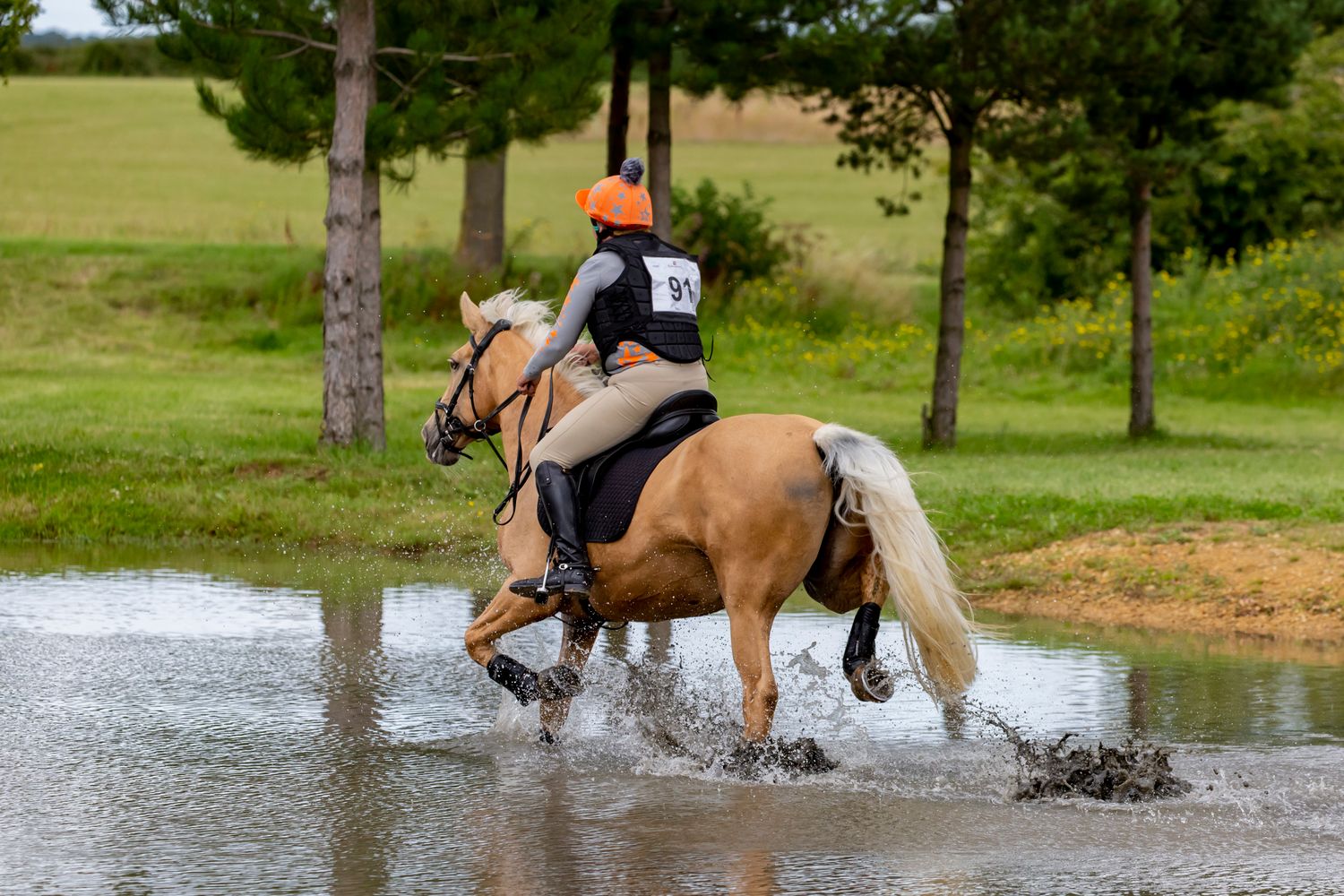 Cros Country Riding Cross Country Horse Riding Photos, Download The BEST Free Cross Country ...