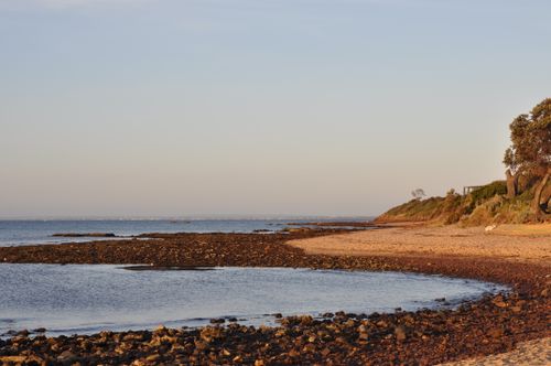 Free Peaceful view of a rocky beach in Melbourne, Australia, during sunset. Stock Photo