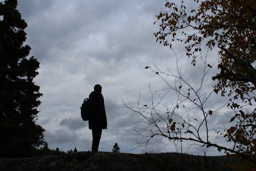 Immagine gratuita di alberi, avventura, cielo coperto