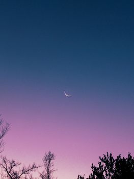 在乌拉圭蒙得维的亚，迷人的新月悬挂在风景如画的暮色天空中