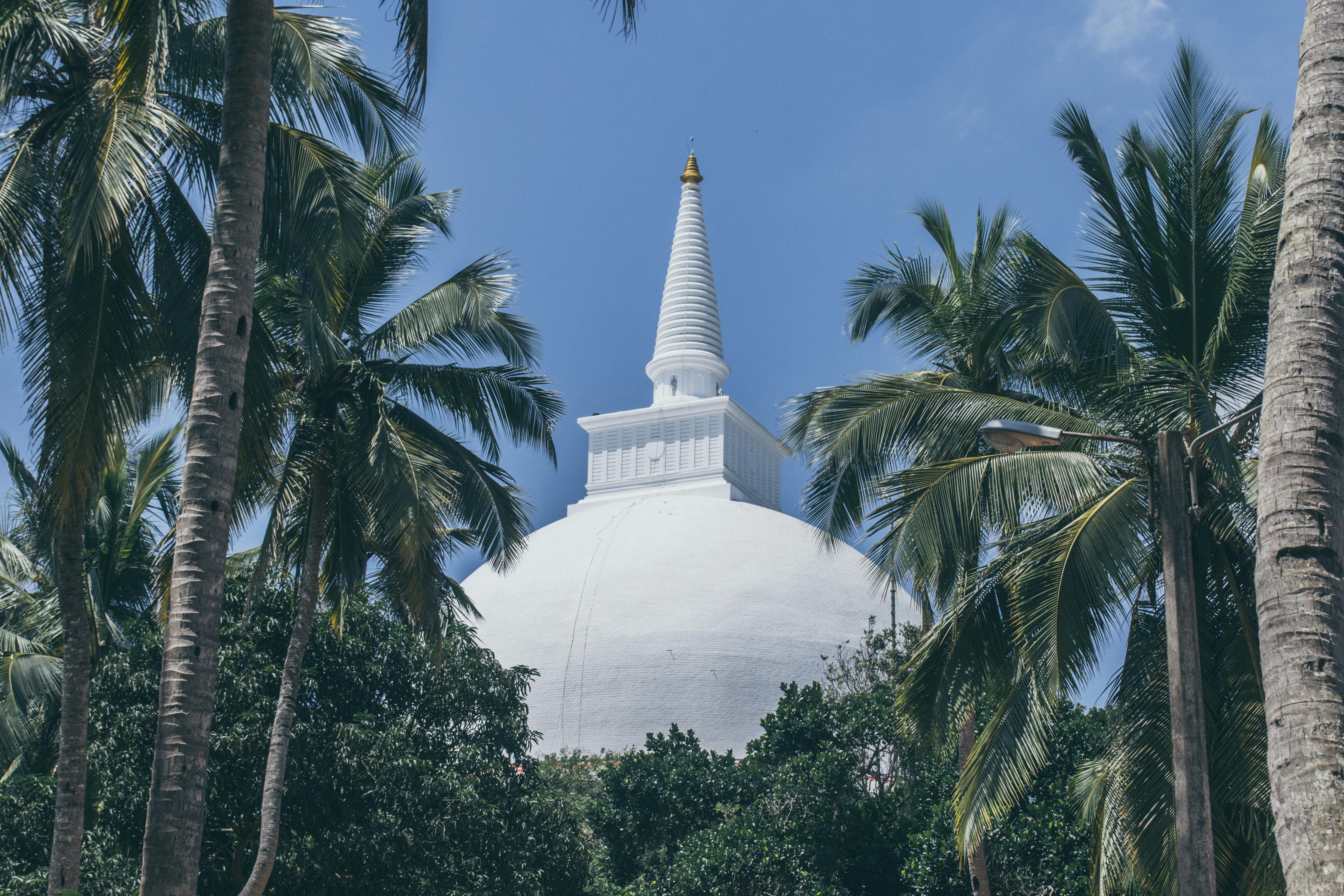 Serene view of the Mihintale Stupa amidst lush palm trees in Sri Lanka, under a clear blue sky. - ¿Dónde dormir en Mihintale?