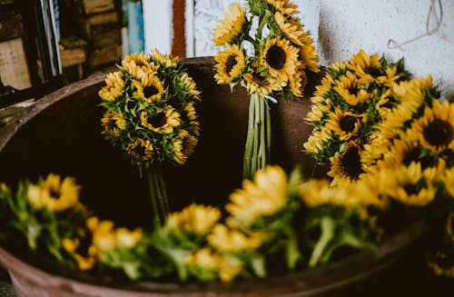 Gratis stockfoto met bloeien, bloem fotografie, boeket