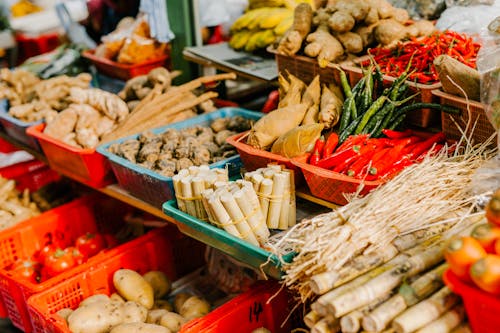 Cibo Marrone E Verde Sul Contenitore Di Plastica Blu