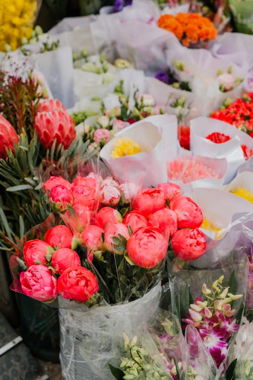 透明塑料包装中的红色和白色花朵