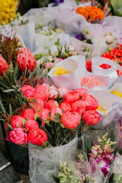 Fleurs Rouges Et Blanches Dans Un Emballage En Plastique Transparent