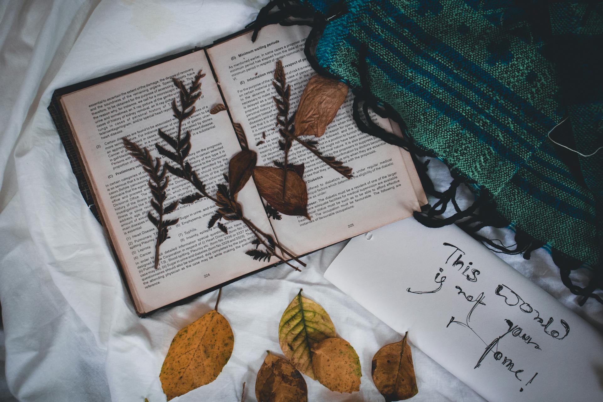 Book with herbarium on white cloth near envelope