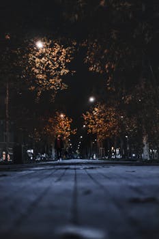 Low angle shot of a dimly lit street with autumn trees and a lone figure, capturing Milano's night ambiance.