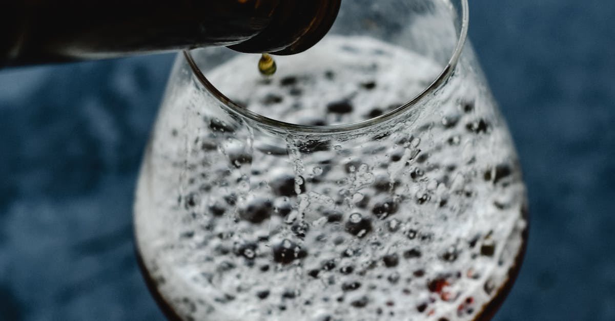 A Drop of Beer on Bottle Rim · Free Stock Photo