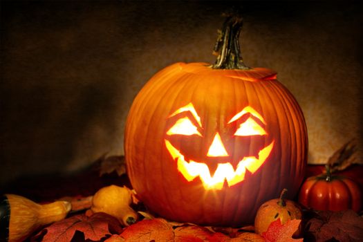Carved pumpkin lit from within surrounded by fall leaves, perfect for Halloween themes.