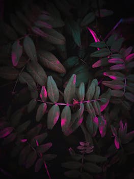 微距拍摄的绿叶在戏剧性的紫色照明下，纹理与形态得以凸显