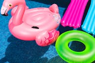 Pink Flamingo Inflatable Ring and Green Inflatable Ring on Swimming Pool