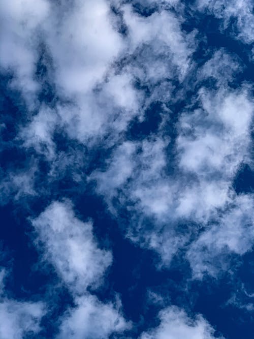 Free From below of white fluffy cumulus clouds floating on clear blue sky in sunny weather of summer day Stock Photo