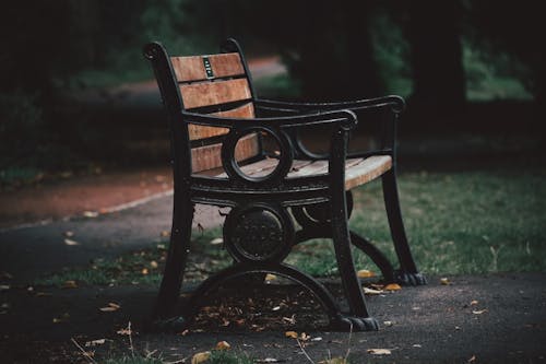 Ingyenes stockfotó címke, ősz, pad témában