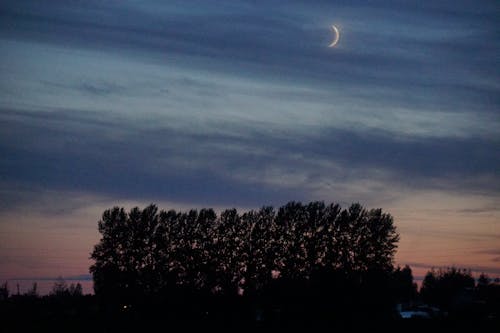 Fotobanka s bezplatnými fotkami na tému mesiac v tvare kosáka, obloha pokrytá oblakmi, šero