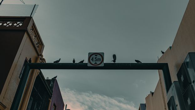 在城市街道上方放置规范车辆高度限制的路标