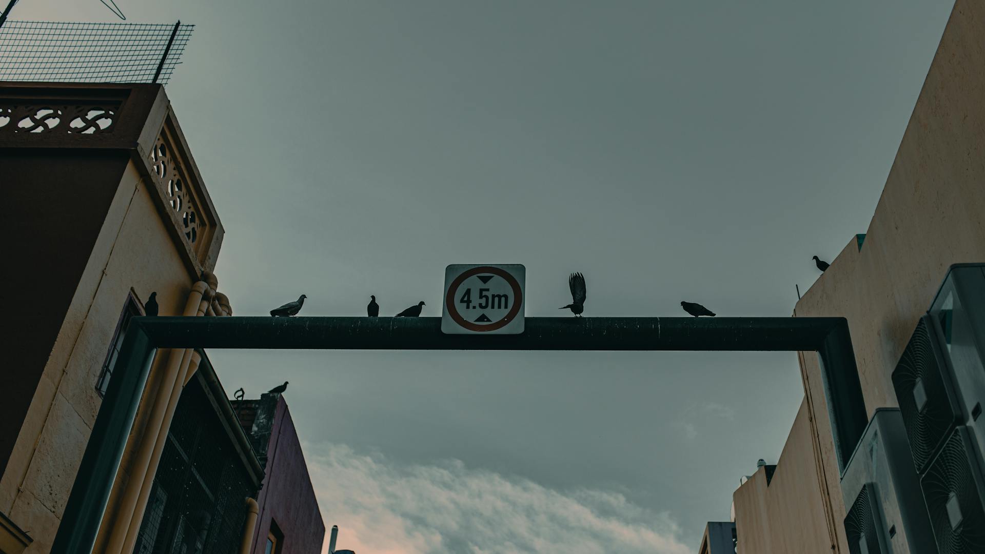 From below road sign regulating vehicle height limits placed above road on city street