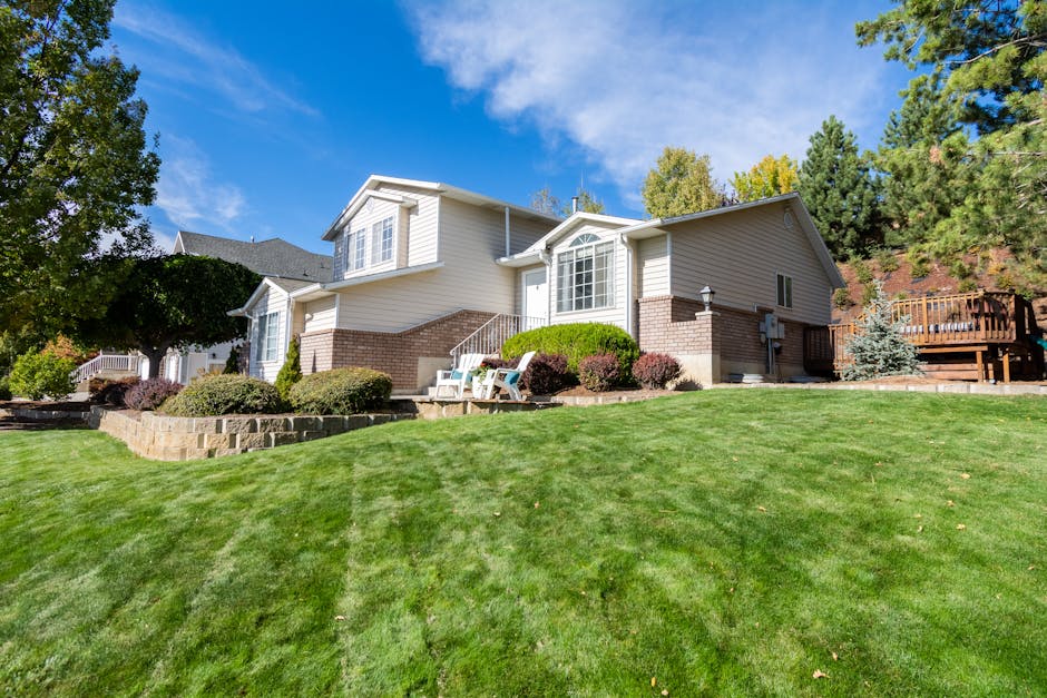 10 passos para começar a investir com pouco: guia prático para quem ainda nunca investiu