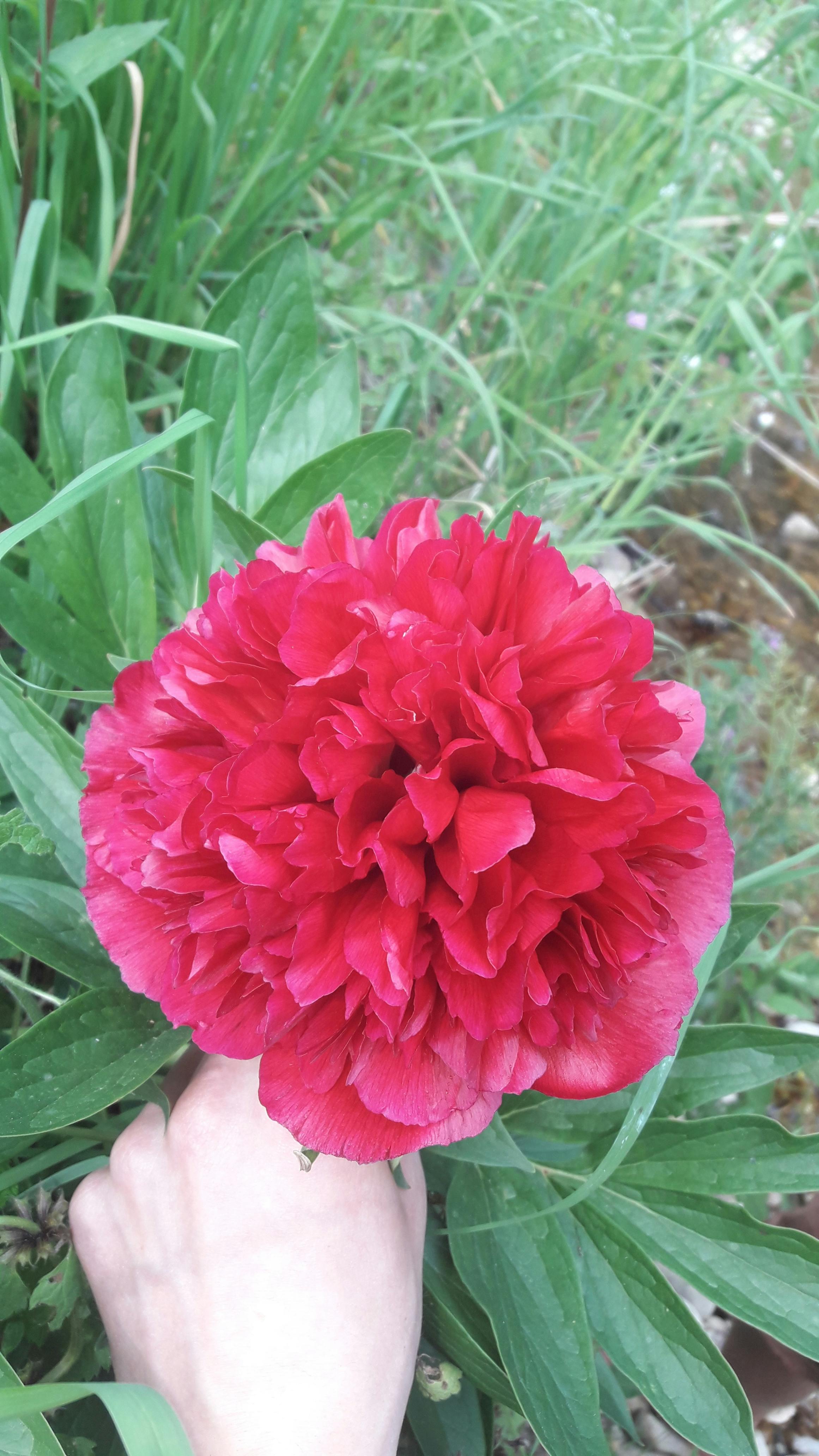 노박 조코비치가 테니스 코트에서 경기에 집중하는 모습