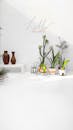 Small Potted Plants on White Surface
