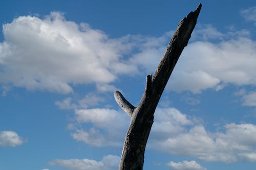 Foto d'estoc gratuïta de bell cel, bell paisatge, cel blau