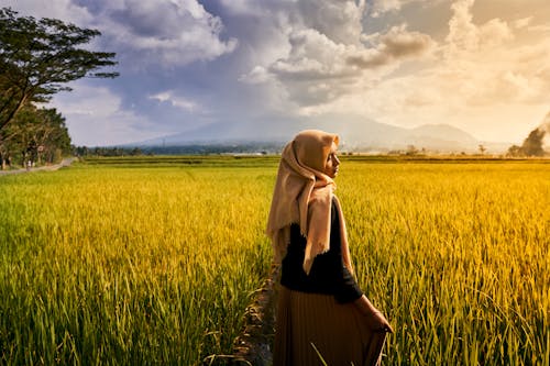 Fotobanka s bezplatnými fotkami na tému dedinský, hidžáb, model