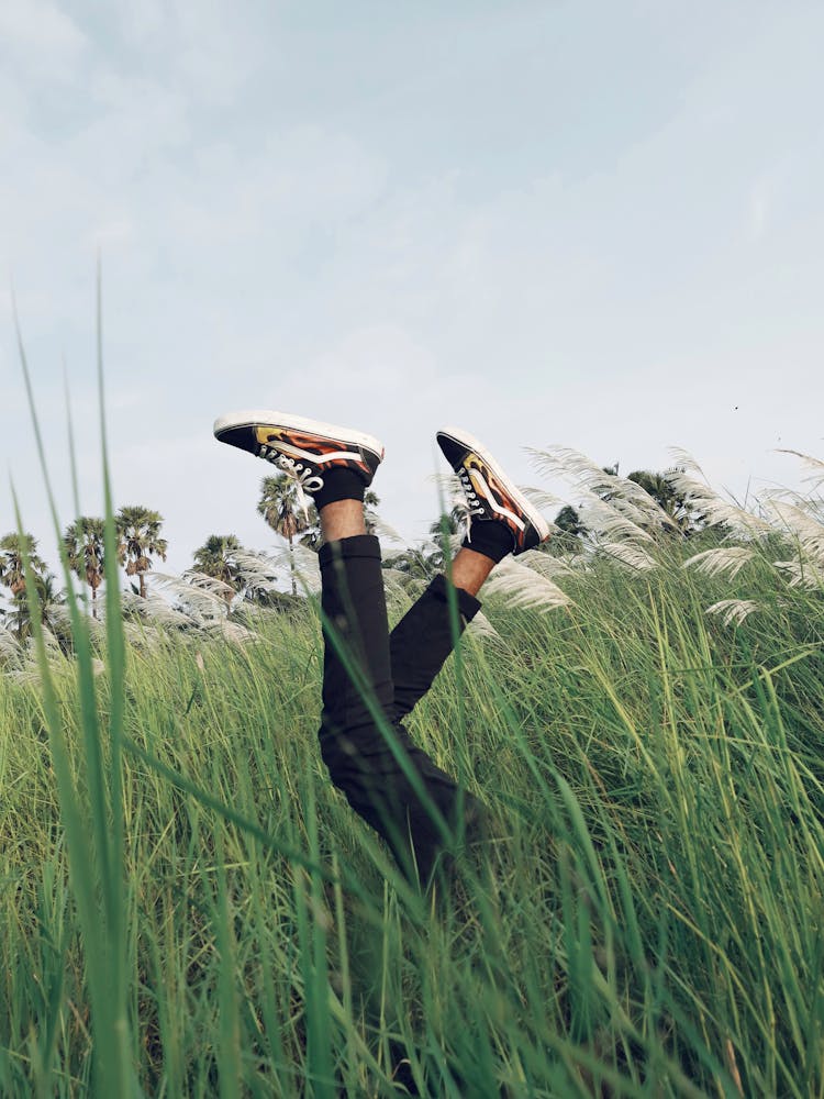 Legs Of A Man Lying In The Grass 