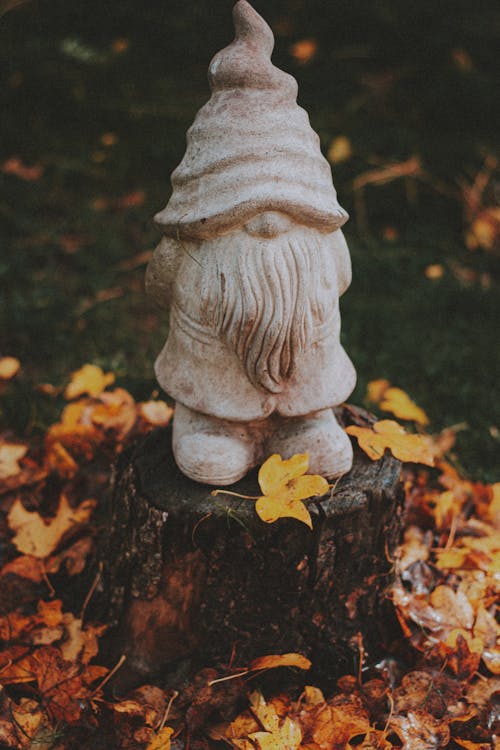 Decorative statuette of dwarf on stump near autumn leaves