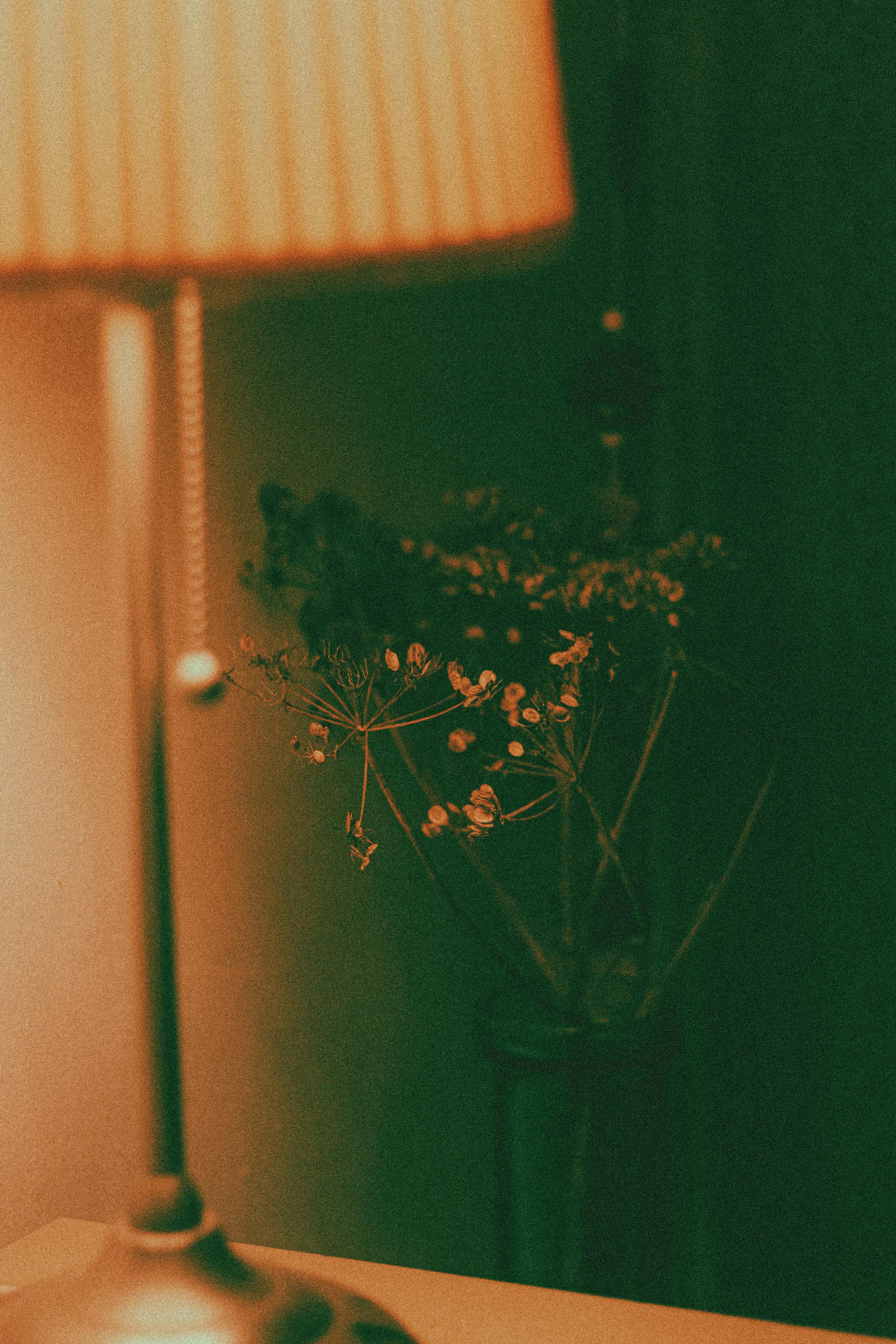 Colorful bedside lamp near thin sprigs with blossoming flowers in vase at home in twilight
