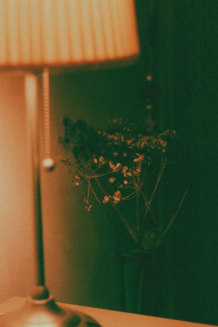 Colorful bedside lamp near thin sprigs with blossoming flowers in vase at home in twilight